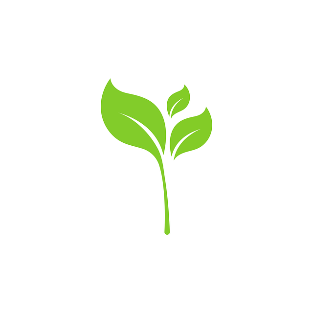 Comment choisir ses produits de beauté bio