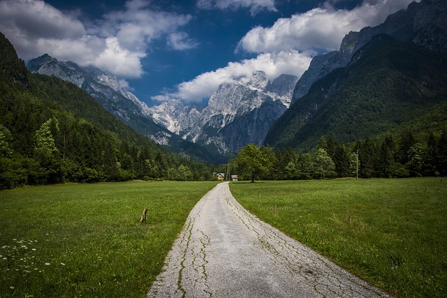 Les plus belles routes panoramiques à parcourir en voiture