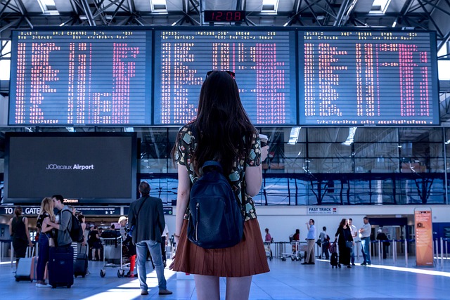 Comment choisir un moyen de transport pour votre prochain voyage